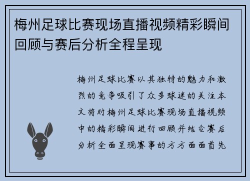 梅州足球比赛现场直播视频精彩瞬间回顾与赛后分析全程呈现